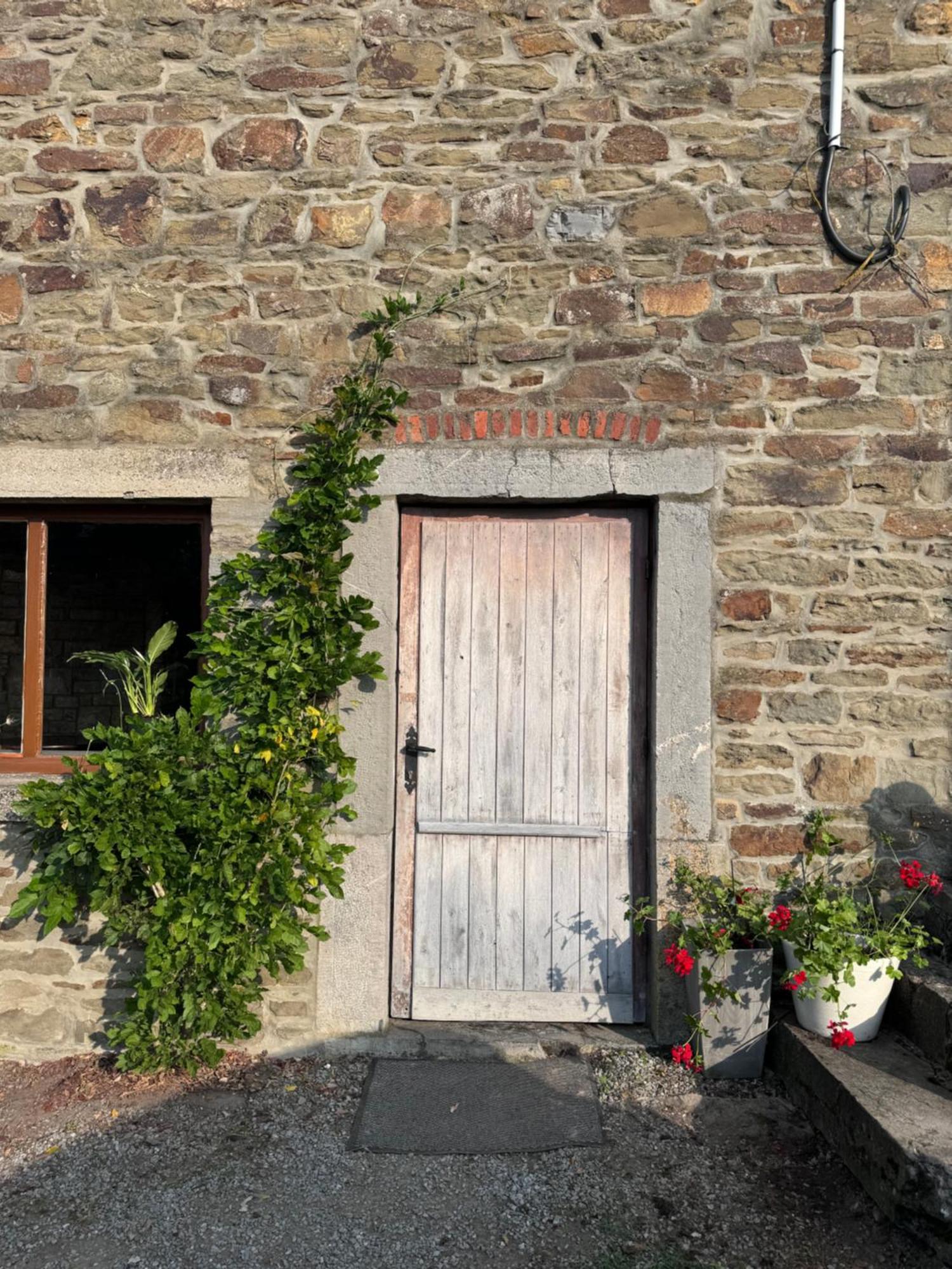 Buteo Chambres D'Hotes & Espresso Lesterny Exterior foto